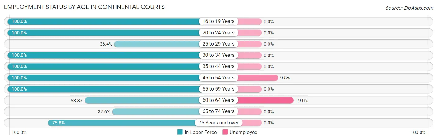 Employment Status by Age in Continental Courts