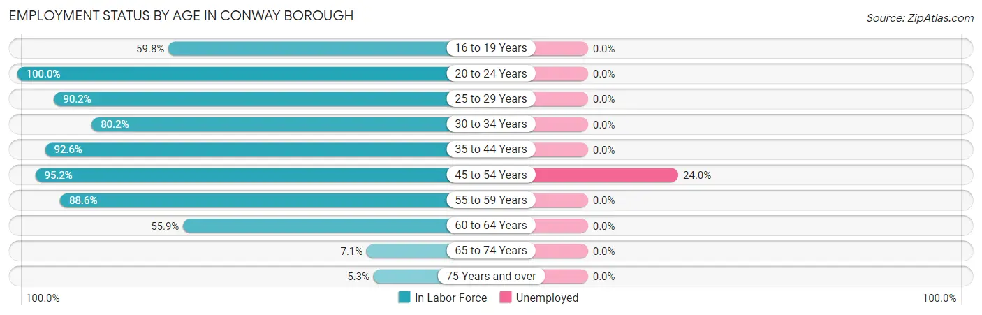 Employment Status by Age in Conway borough