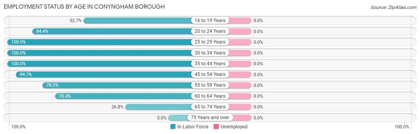 Employment Status by Age in Conyngham borough