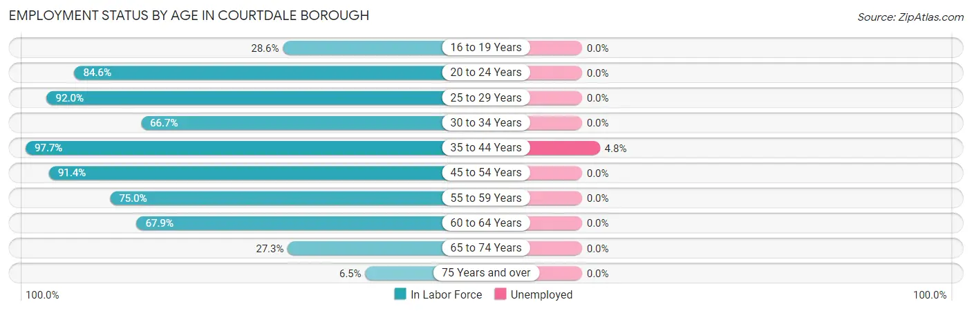 Employment Status by Age in Courtdale borough