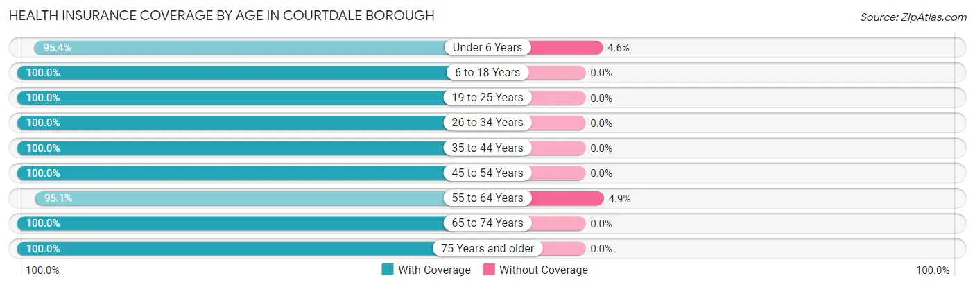 Health Insurance Coverage by Age in Courtdale borough