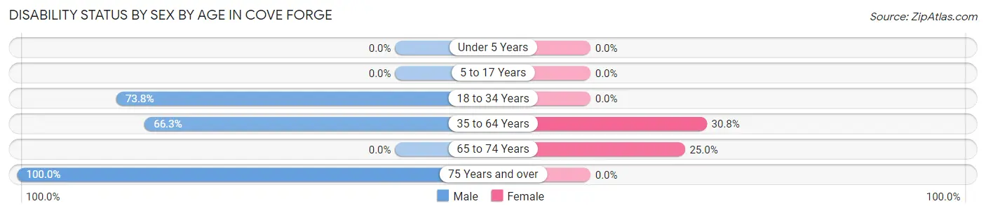Disability Status by Sex by Age in Cove Forge