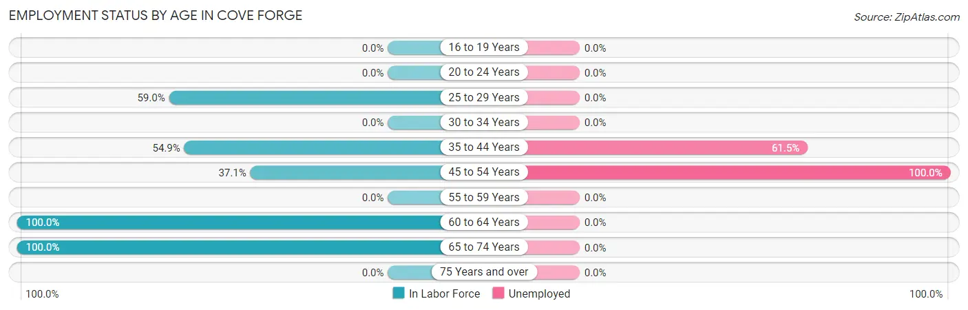 Employment Status by Age in Cove Forge