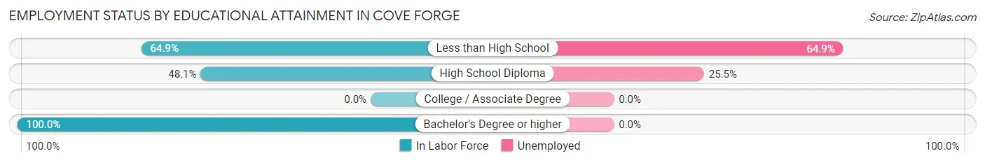 Employment Status by Educational Attainment in Cove Forge