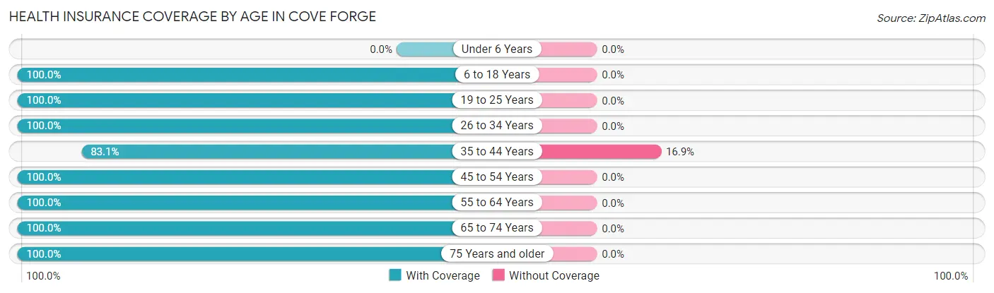 Health Insurance Coverage by Age in Cove Forge