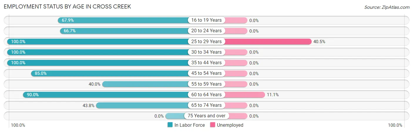 Employment Status by Age in Cross Creek