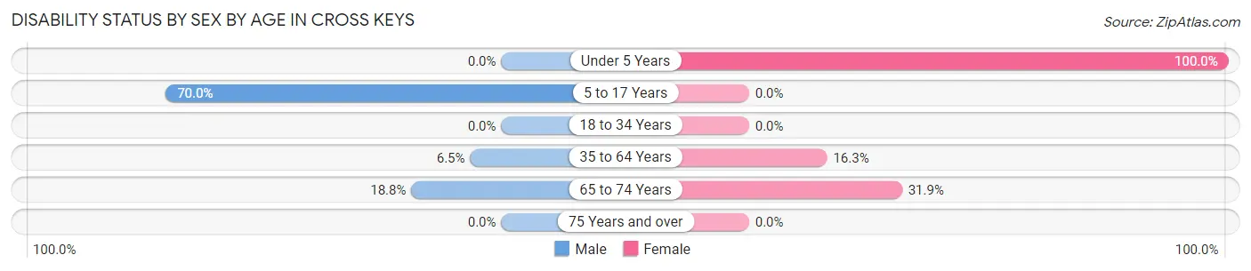 Disability Status by Sex by Age in Cross Keys