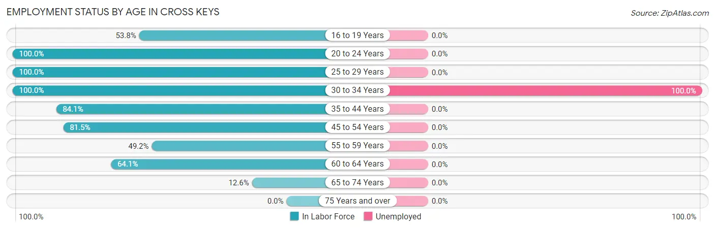 Employment Status by Age in Cross Keys