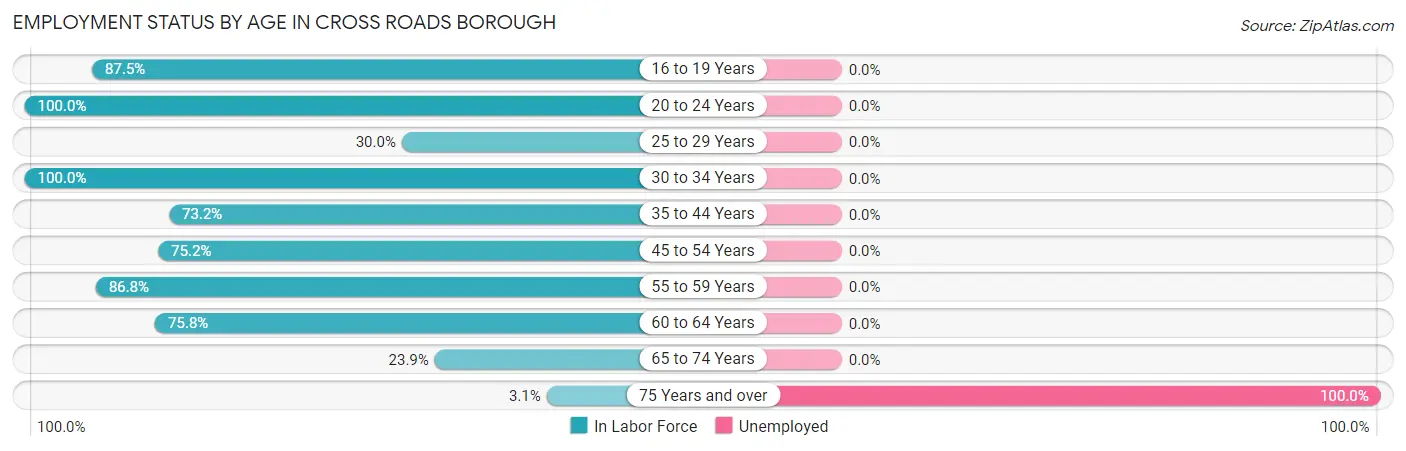 Employment Status by Age in Cross Roads borough