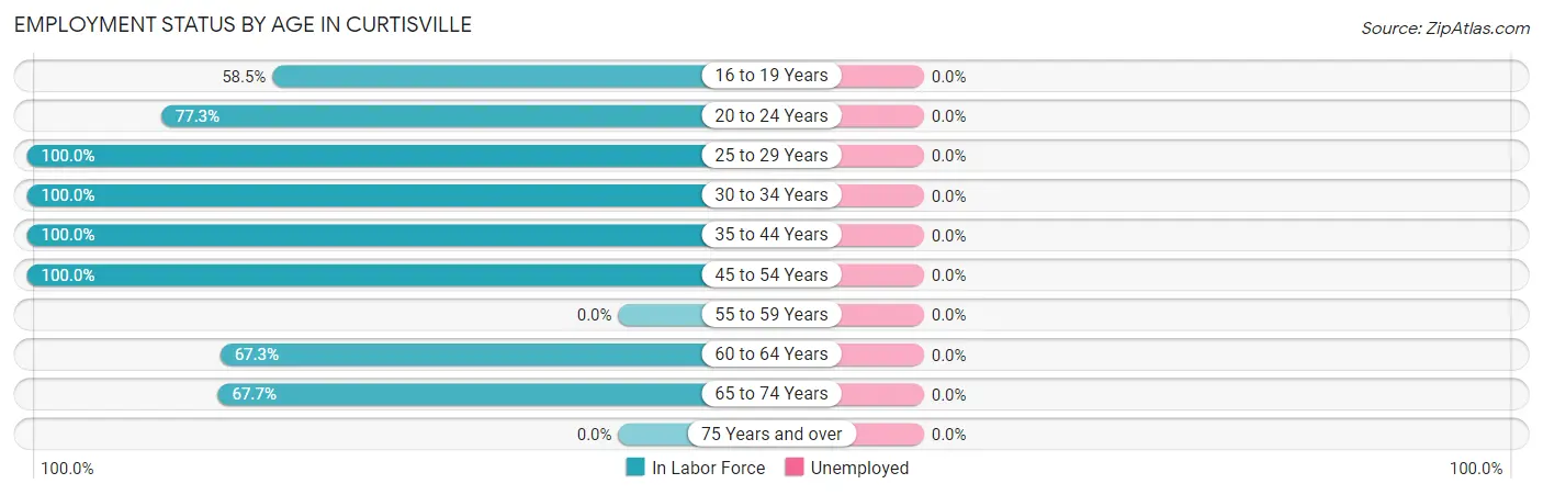 Employment Status by Age in Curtisville