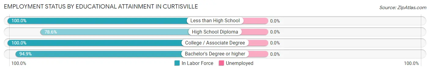 Employment Status by Educational Attainment in Curtisville