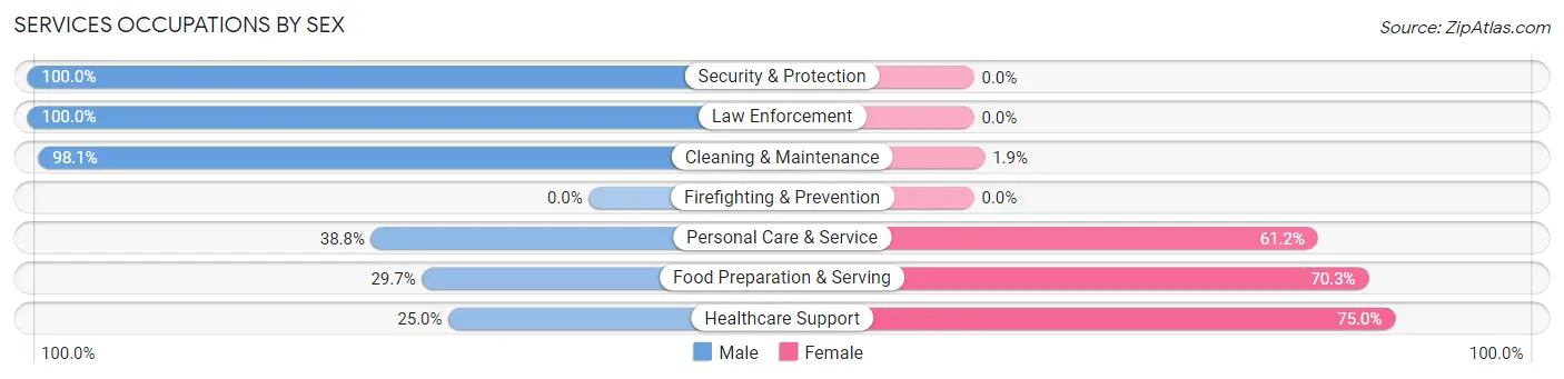 Services Occupations by Sex in Dallas borough