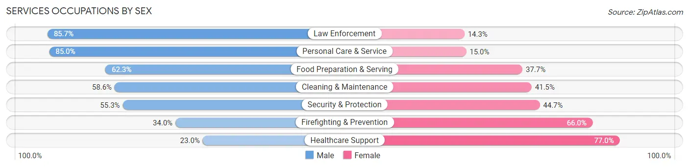 Services Occupations by Sex in Darby borough