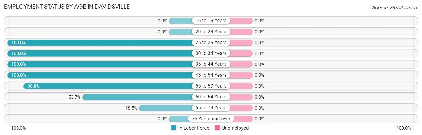 Employment Status by Age in Davidsville