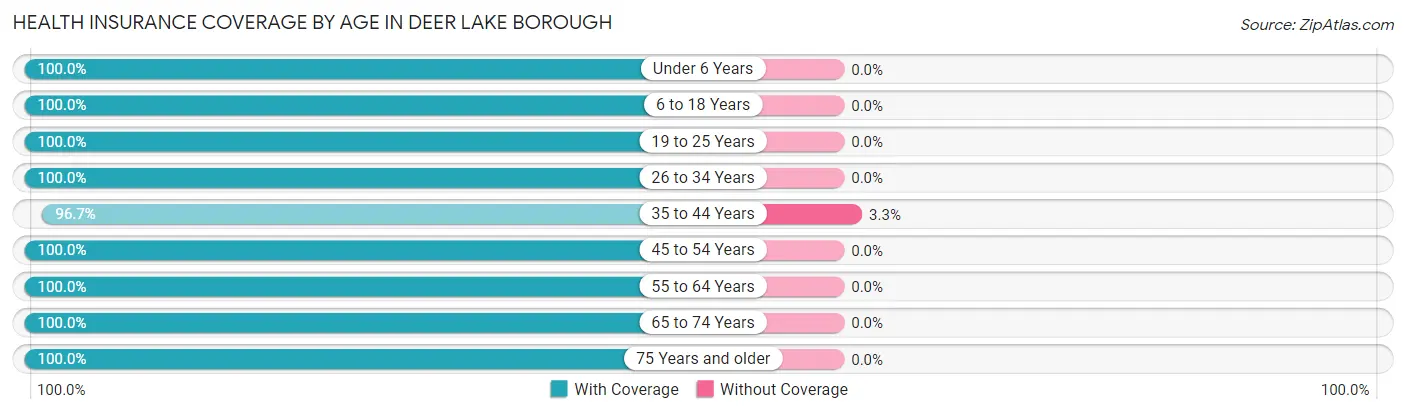 Health Insurance Coverage by Age in Deer Lake borough