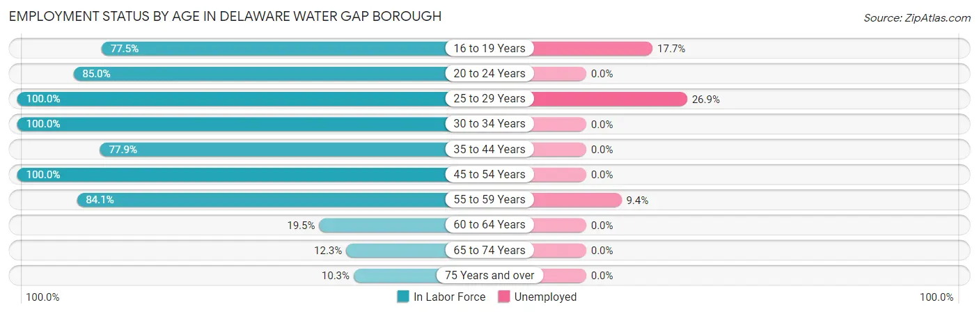 Employment Status by Age in Delaware Water Gap borough