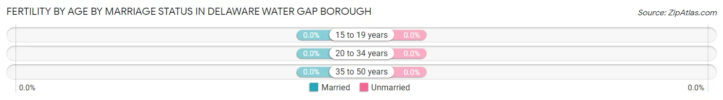 Female Fertility by Age by Marriage Status in Delaware Water Gap borough