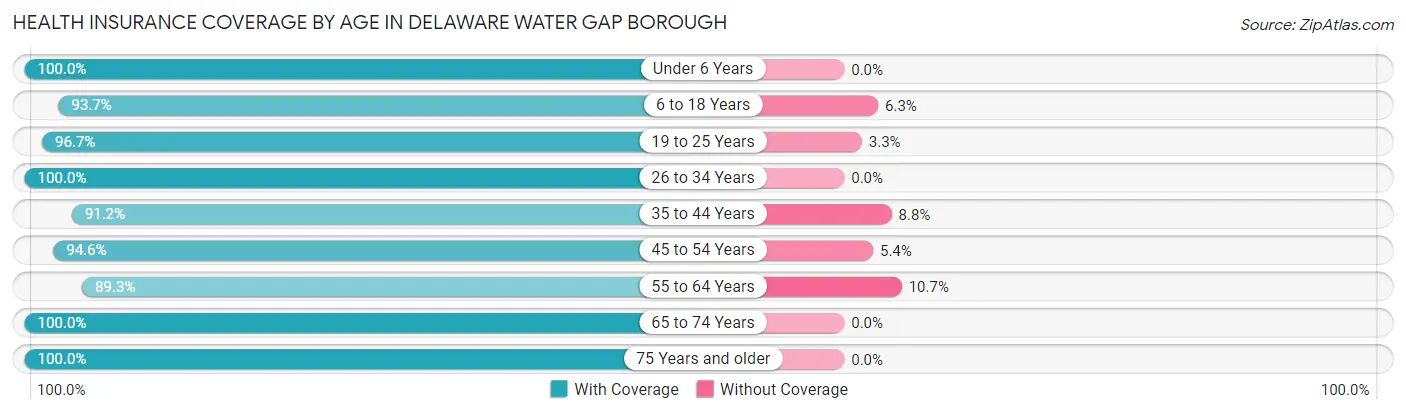 Health Insurance Coverage by Age in Delaware Water Gap borough