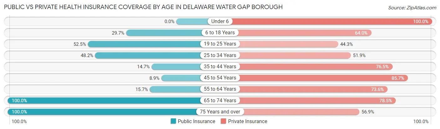 Public vs Private Health Insurance Coverage by Age in Delaware Water Gap borough