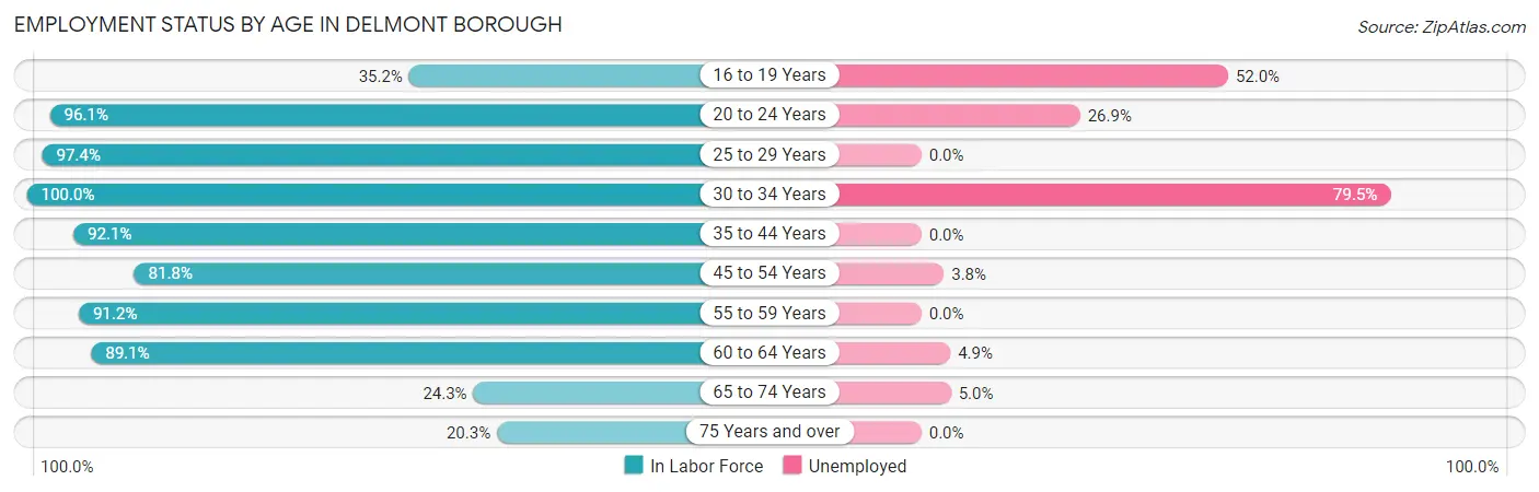 Employment Status by Age in Delmont borough