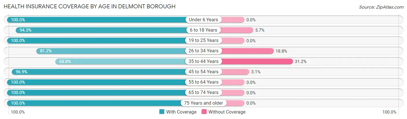 Health Insurance Coverage by Age in Delmont borough
