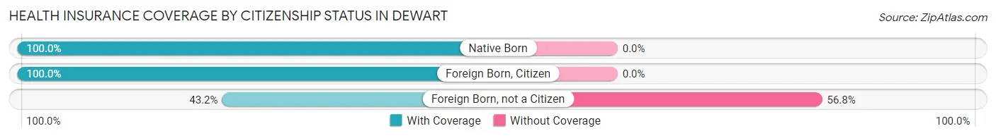 Health Insurance Coverage by Citizenship Status in Dewart