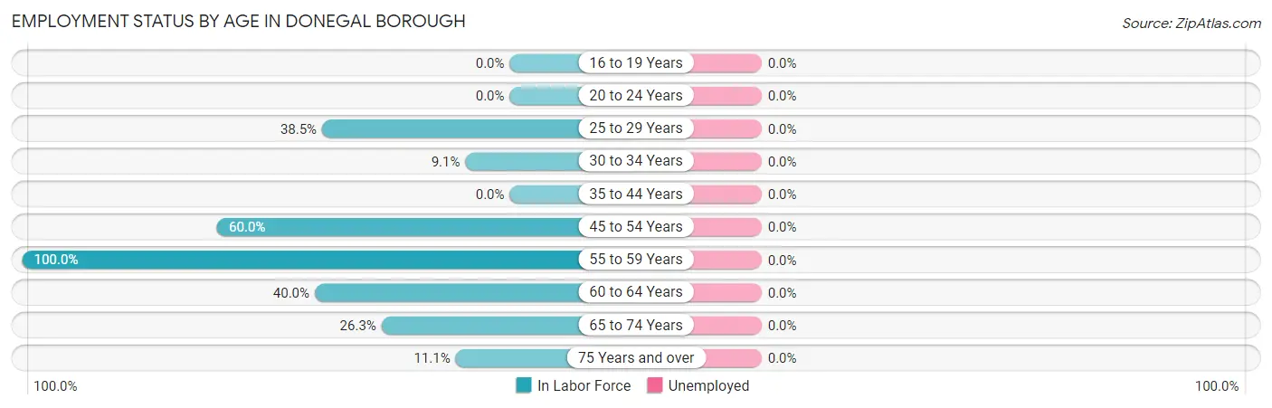 Employment Status by Age in Donegal borough