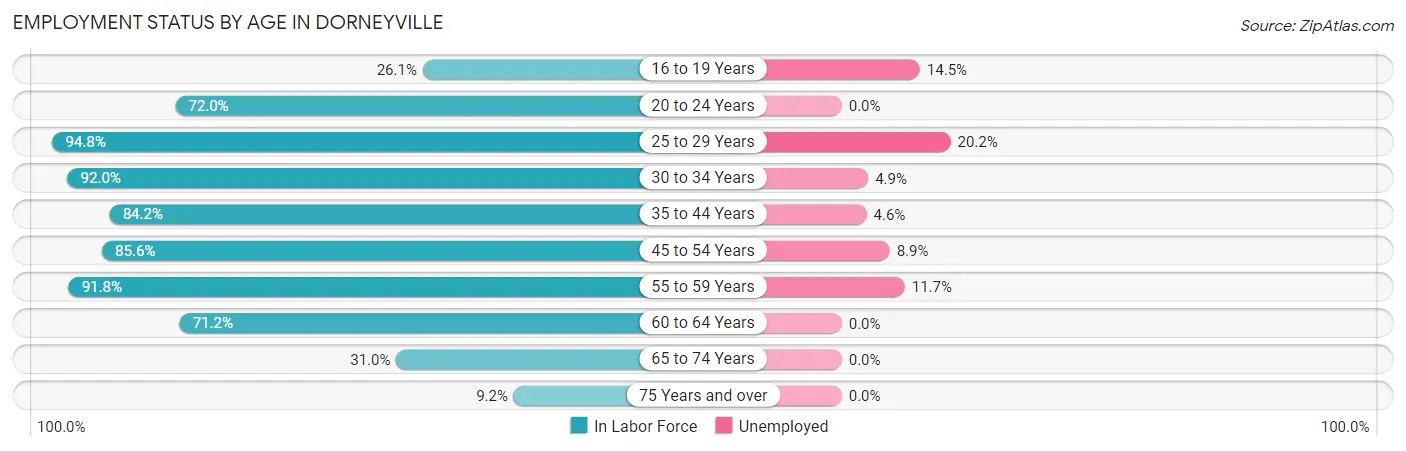 Employment Status by Age in Dorneyville