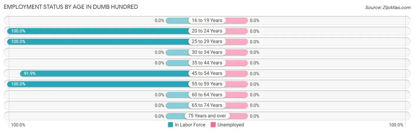 Employment Status by Age in Dumb Hundred