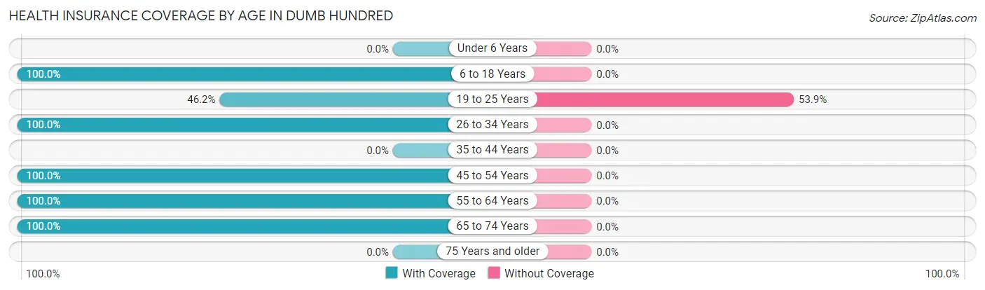 Health Insurance Coverage by Age in Dumb Hundred