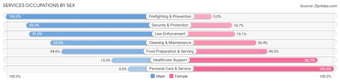 Services Occupations by Sex in Duncansville borough