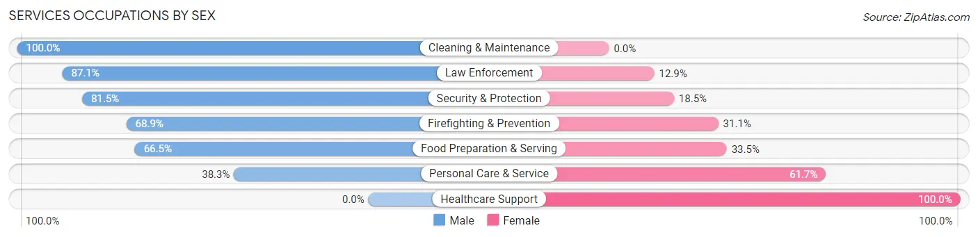 Services Occupations by Sex in Dunmore borough