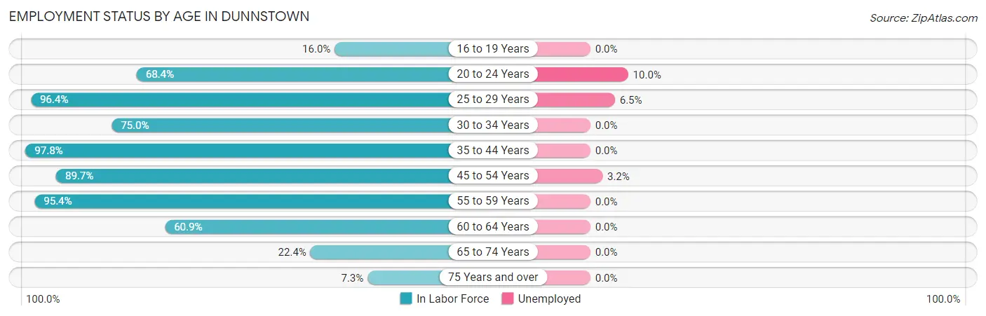 Employment Status by Age in Dunnstown