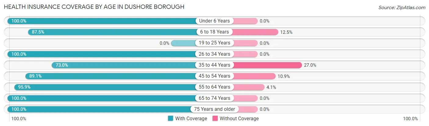 Health Insurance Coverage by Age in Dushore borough