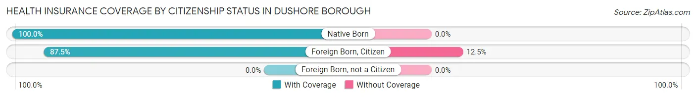 Health Insurance Coverage by Citizenship Status in Dushore borough