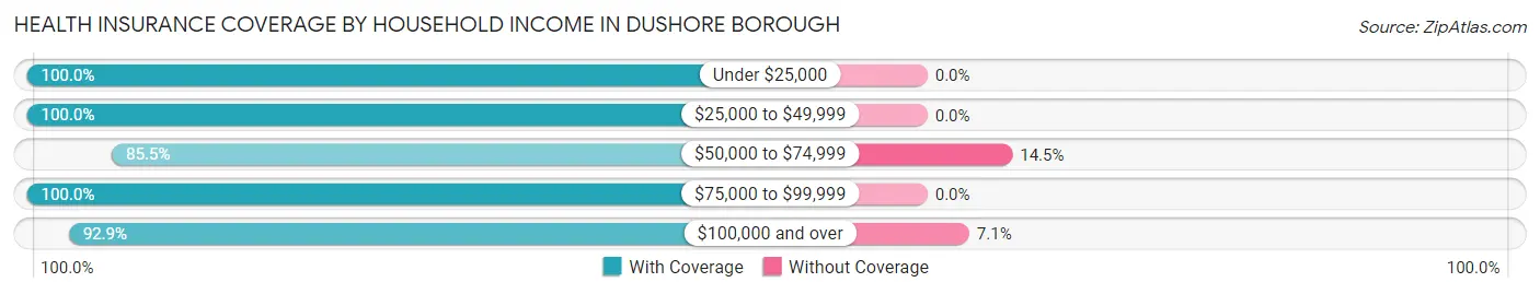 Health Insurance Coverage by Household Income in Dushore borough