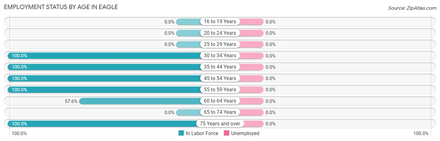Employment Status by Age in Eagle