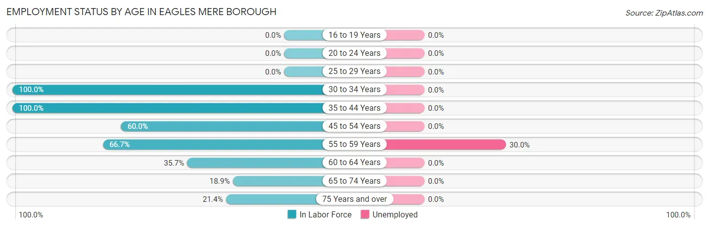 Employment Status by Age in Eagles Mere borough