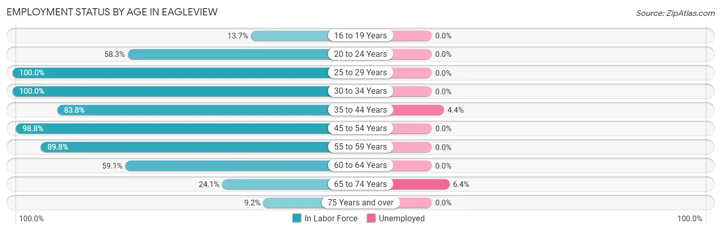Employment Status by Age in Eagleview