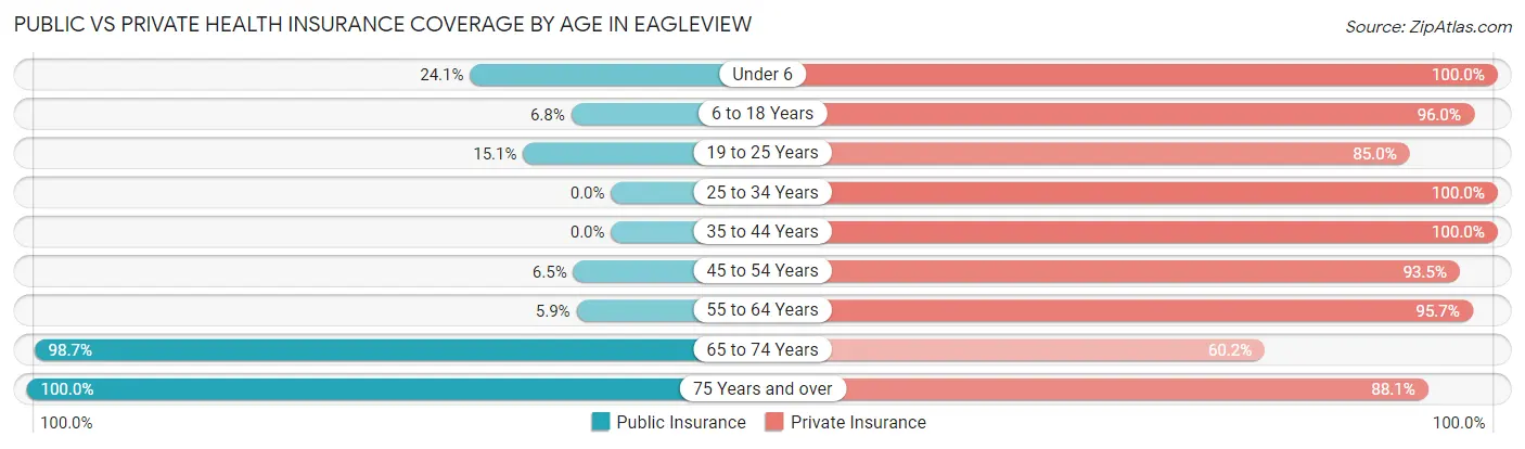 Public vs Private Health Insurance Coverage by Age in Eagleview