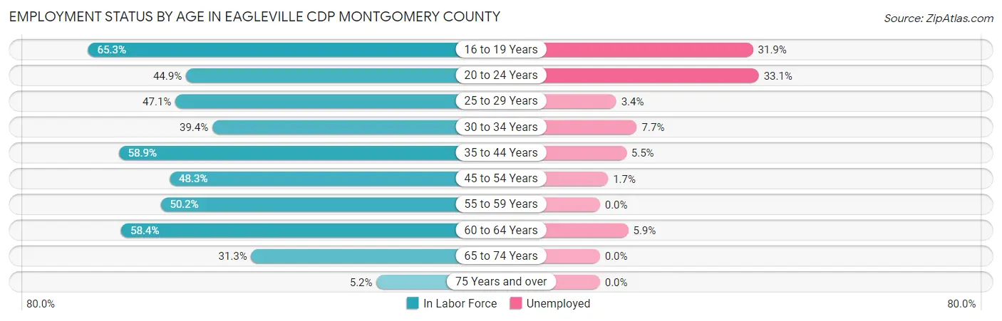 Employment Status by Age in Eagleville CDP Montgomery County