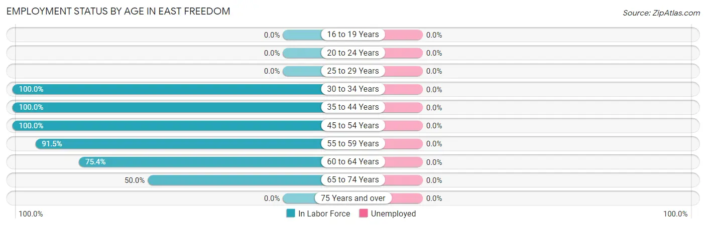 Employment Status by Age in East Freedom