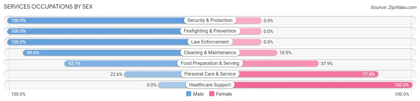 Services Occupations by Sex in East Greenville borough