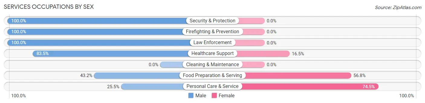 Services Occupations by Sex in East Petersburg borough