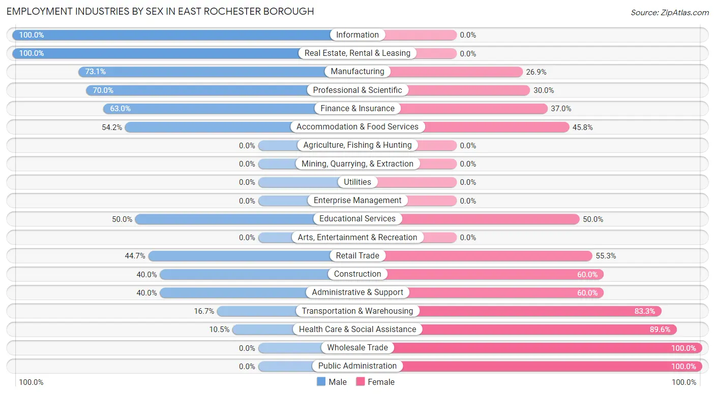 Employment Industries by Sex in East Rochester borough