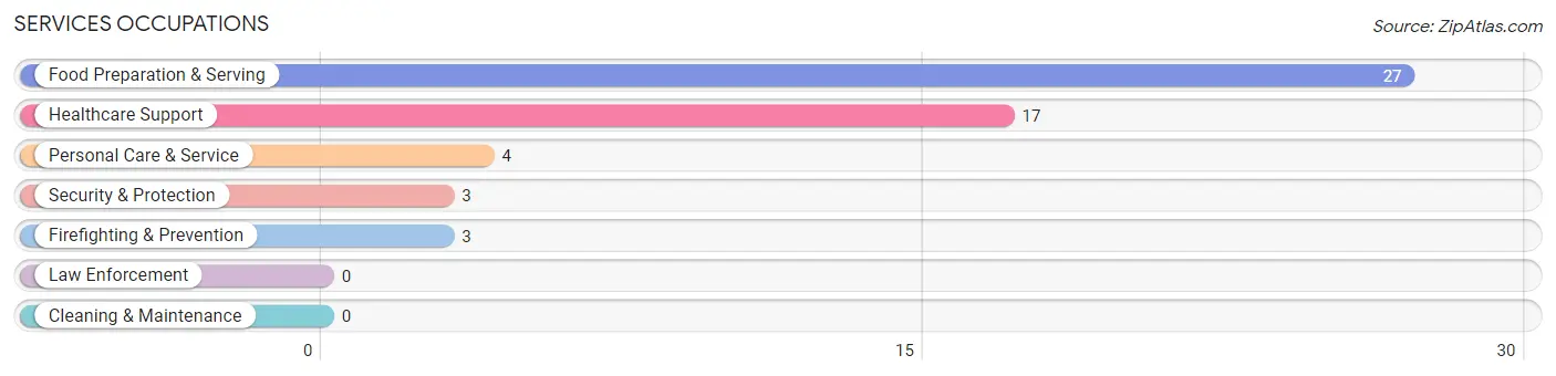 Services Occupations in East Rochester borough