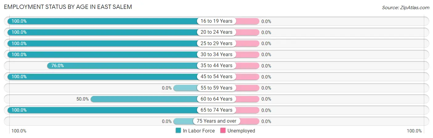 Employment Status by Age in East Salem
