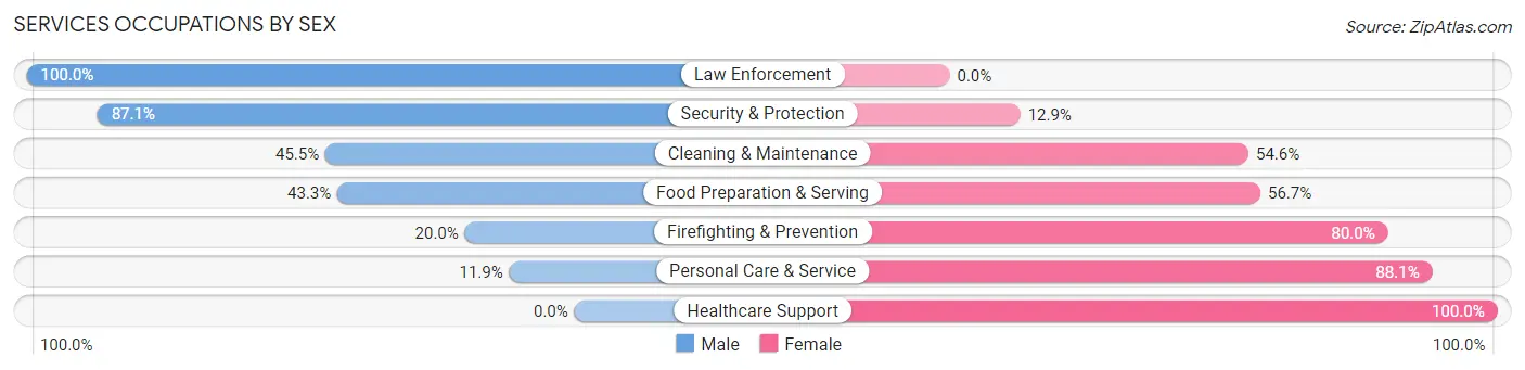 Services Occupations by Sex in East Washington borough