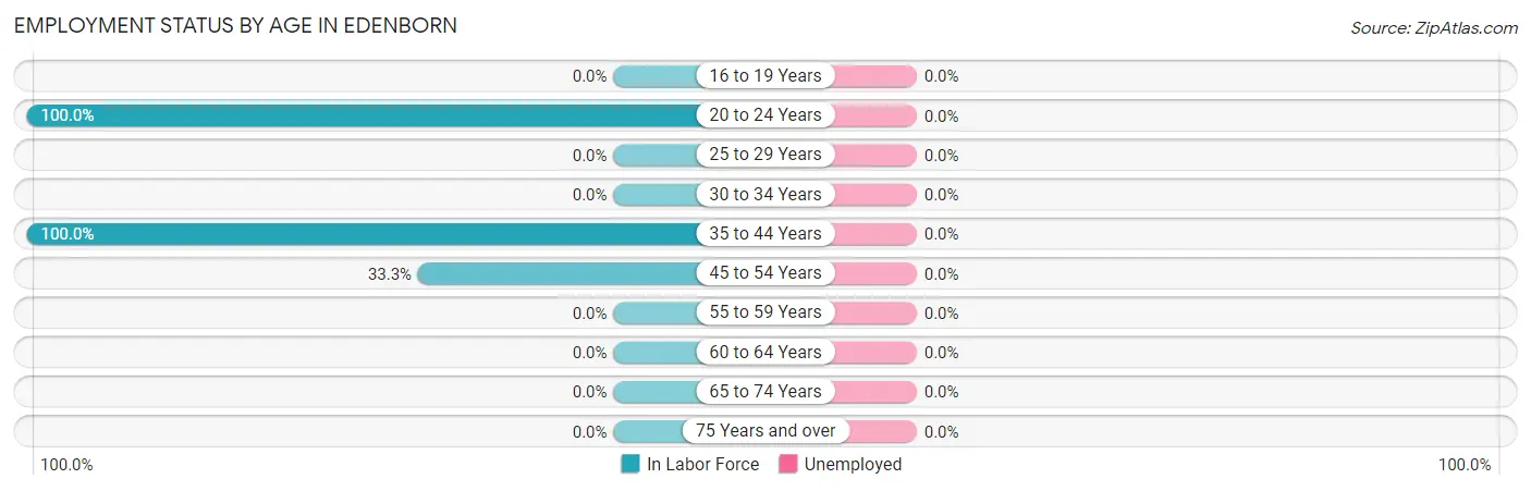 Employment Status by Age in Edenborn
