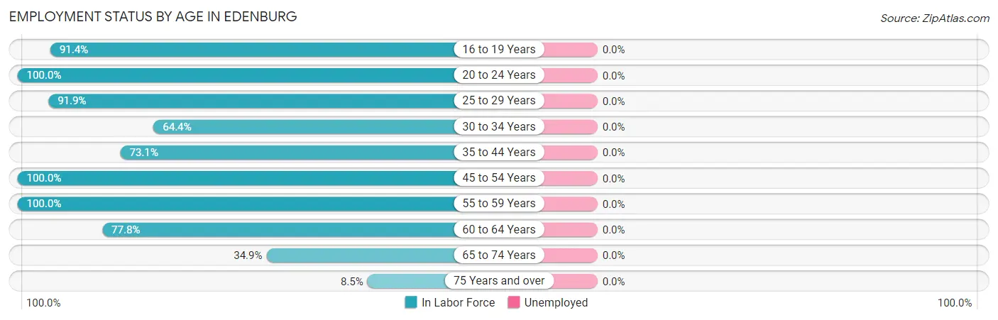 Employment Status by Age in Edenburg